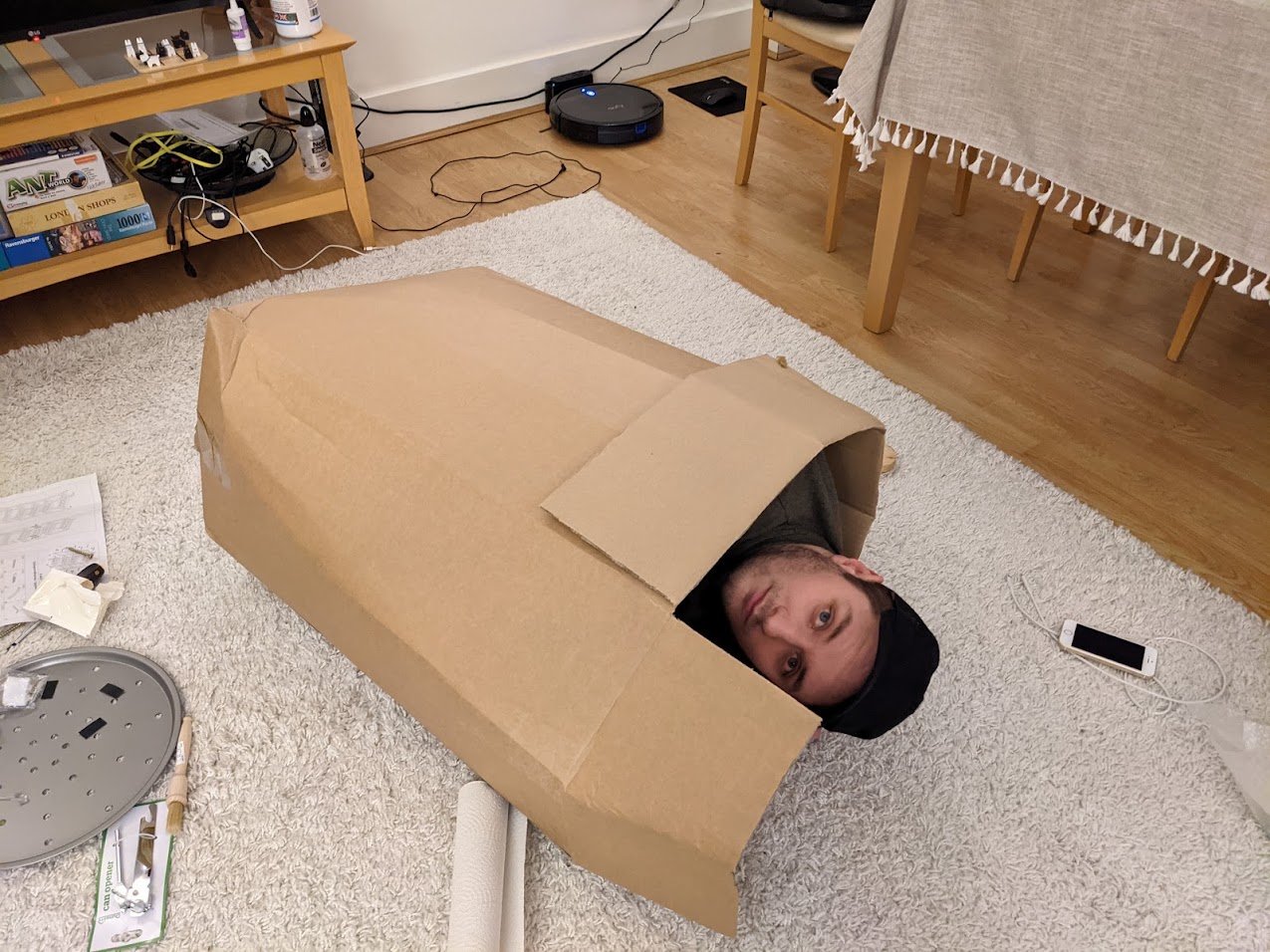 Lying inside a large flat-pack box on the living room floor, surrounded by furniture parts and instructions.